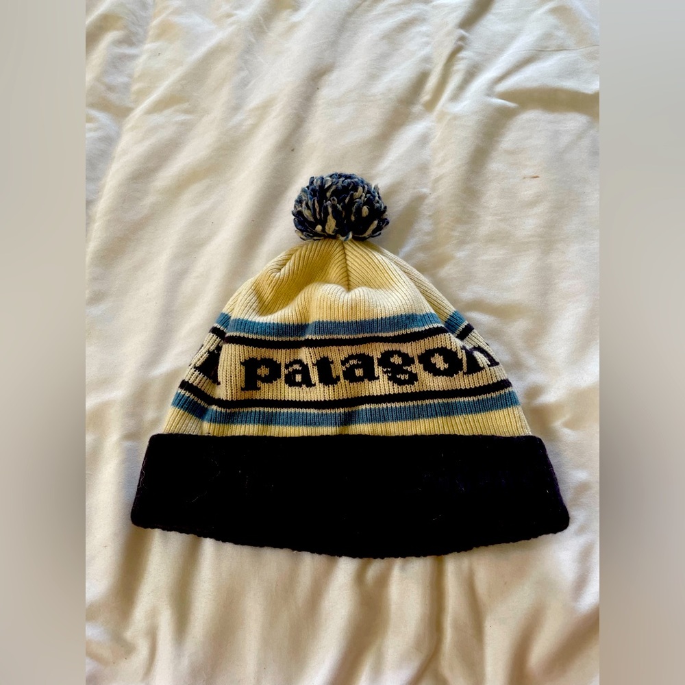 Patagonia powder town beanie